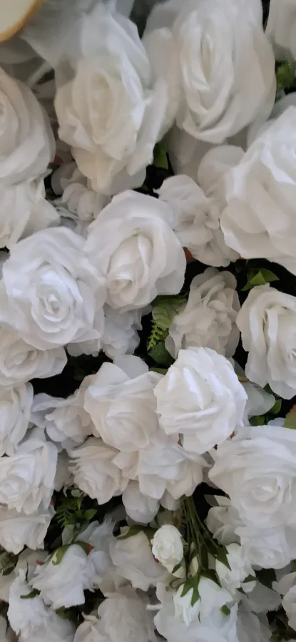 Slika iz blizine na bijele ruže na cvjetnom zidu.