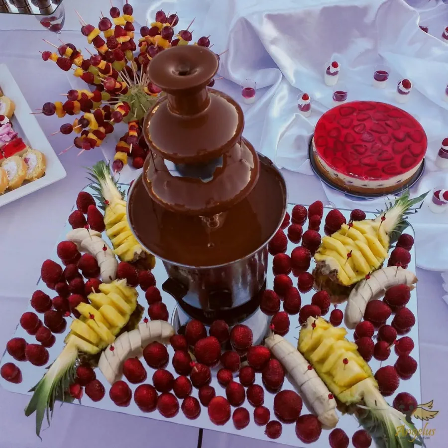 catering angelus za vjencanja zadar i okolica 26