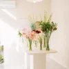 Fiore Studio