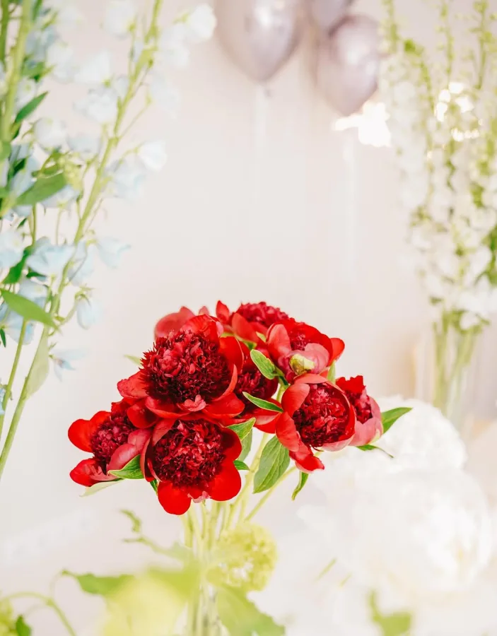 cvijece17 fiorestudio biograd