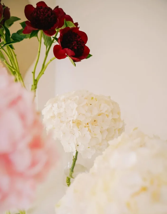 cvijece18 fiorestudio biograd