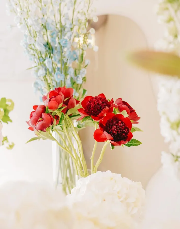 cvijece20 fiorestudio biograd