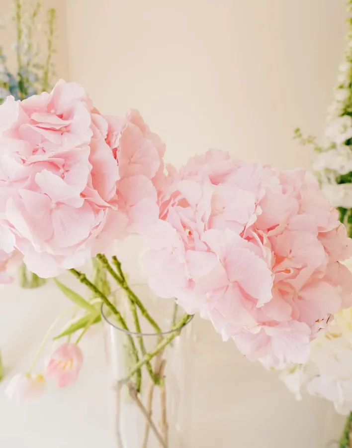 cvijece24 fiorestudio biograd