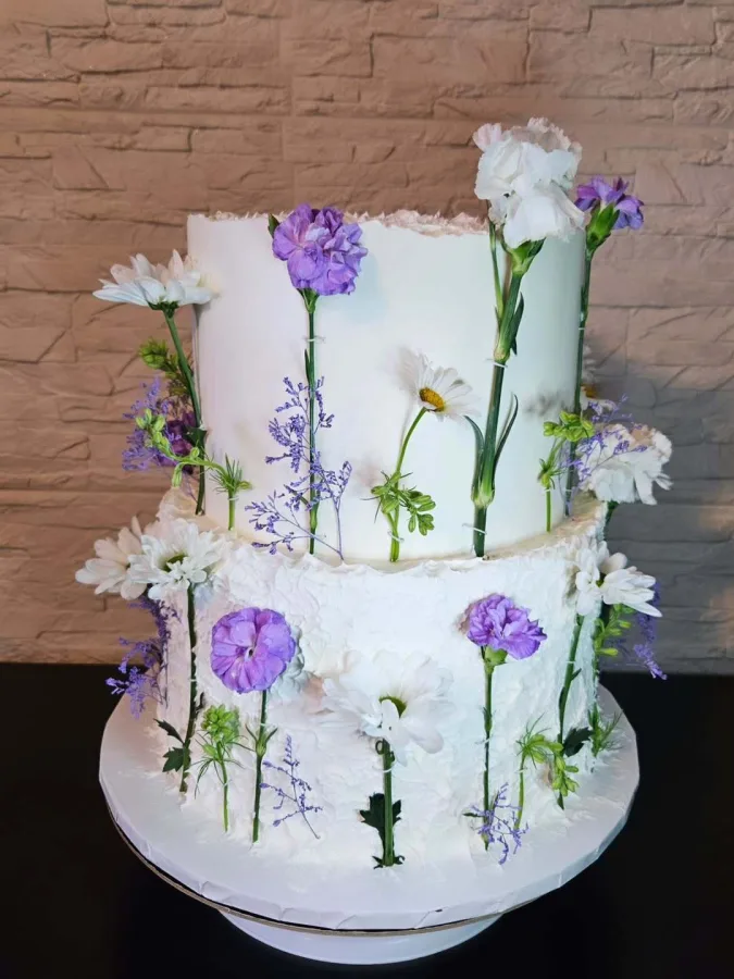 downloadgram.org 508393226 1742034149745805 1502195525504966034 n