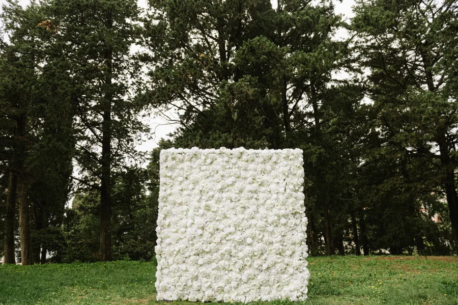 Zid s bijelim ružama, idealan za fotografiranje na vjenčanju.