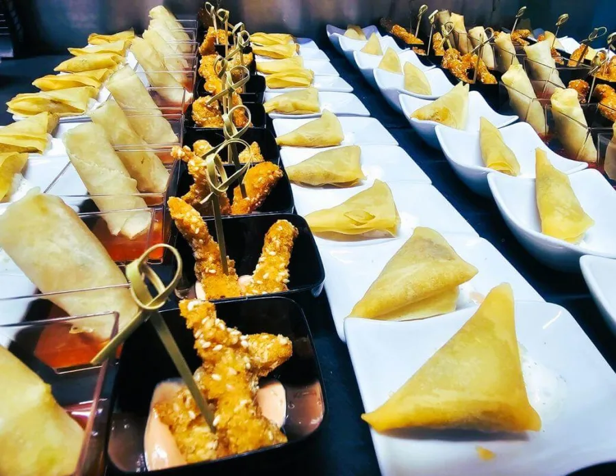 Samose i azijska hrana Catering Gala Zagreb.