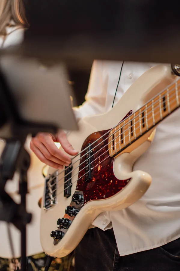 grupa domino bend za vjencanja zagreb 6