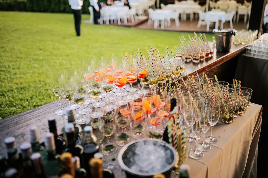 Kokteli za vjenčanje na imanju Marincel.