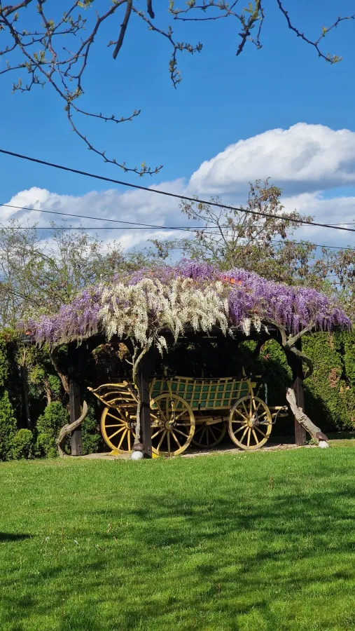 imanje za vjencanje zahra zapresic 2