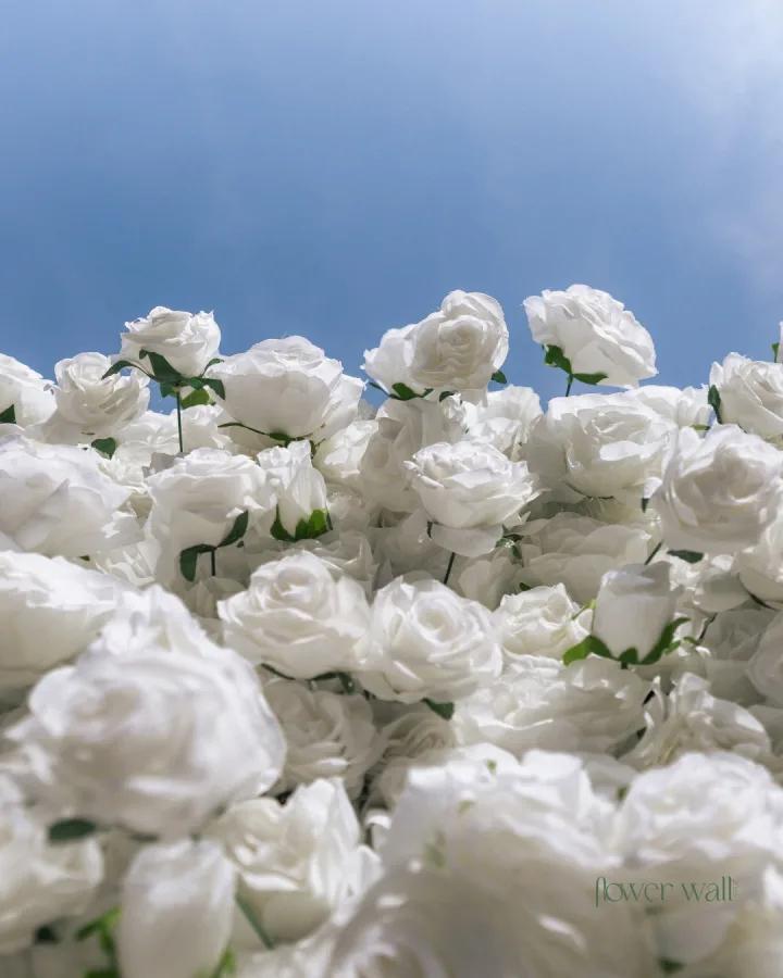 Flower wall split - Cvjetni zid za vjenčanje