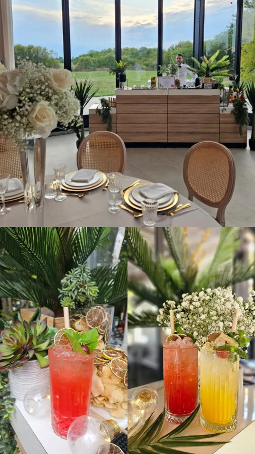 koktel bar majestik park brezovica