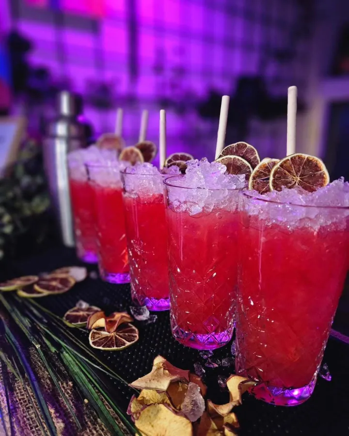 koktel catering cocktailcatering zagreb 13 1