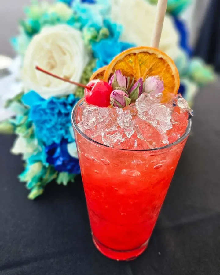 koktel catering cocktailcatering zagreb 3 2