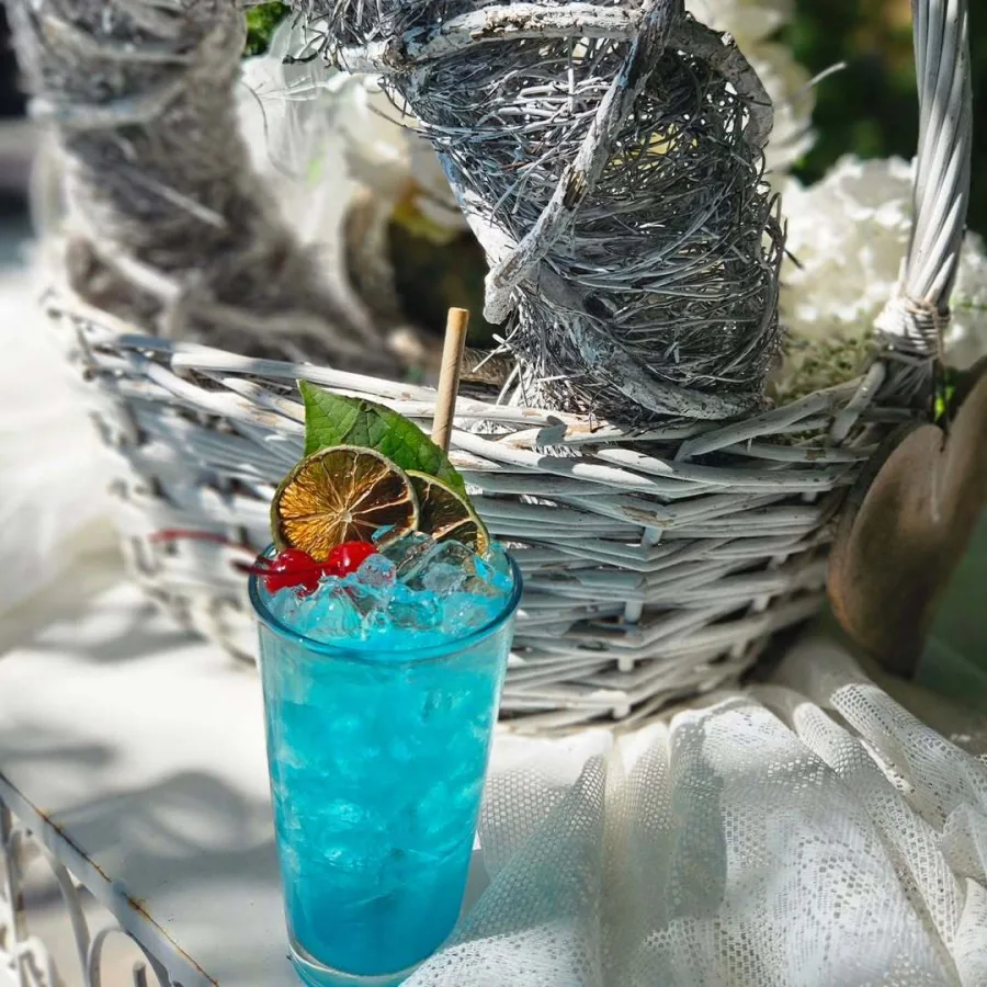 koktel catering cocktailcatering zagreb 7 2