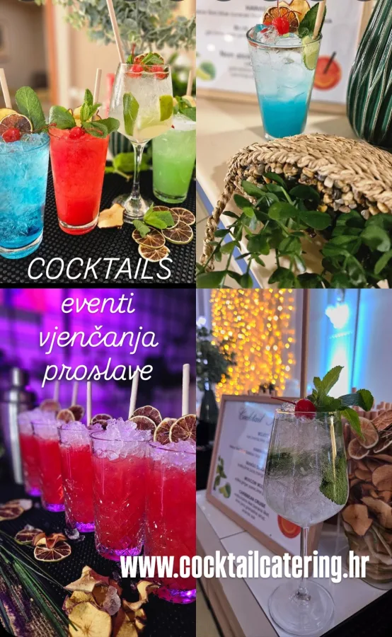 koktel catering cocktailcatering zagreb 9