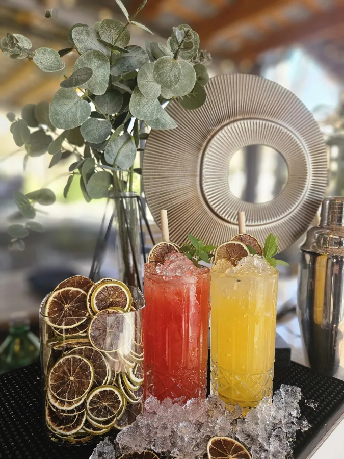 kokteli slike vizual 1