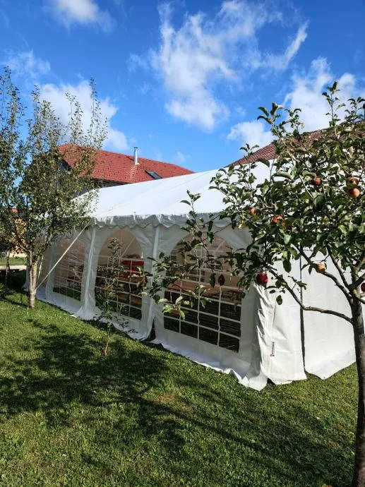 Bijeli šator u voćnjaku.