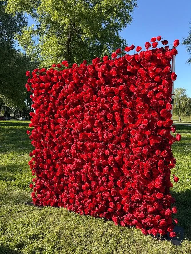 rose decor osijek najam cvjetnih pozadina za fotografiranje 22