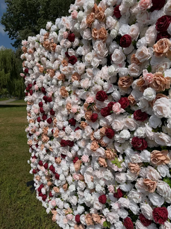 rose decor osijek najam cvjetnih pozadina za fotografiranje 30