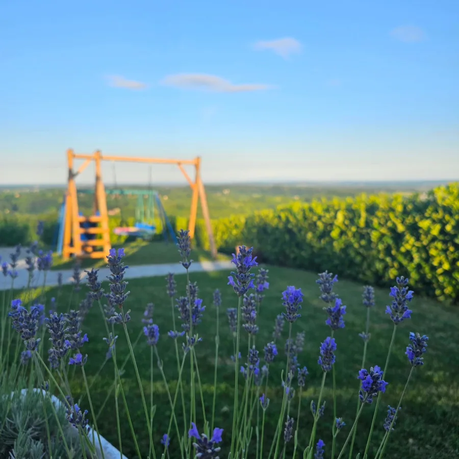 Plavo cvijeće u vrtu vile za vjenčanja, a u pozadini dječja ljuljačka.
