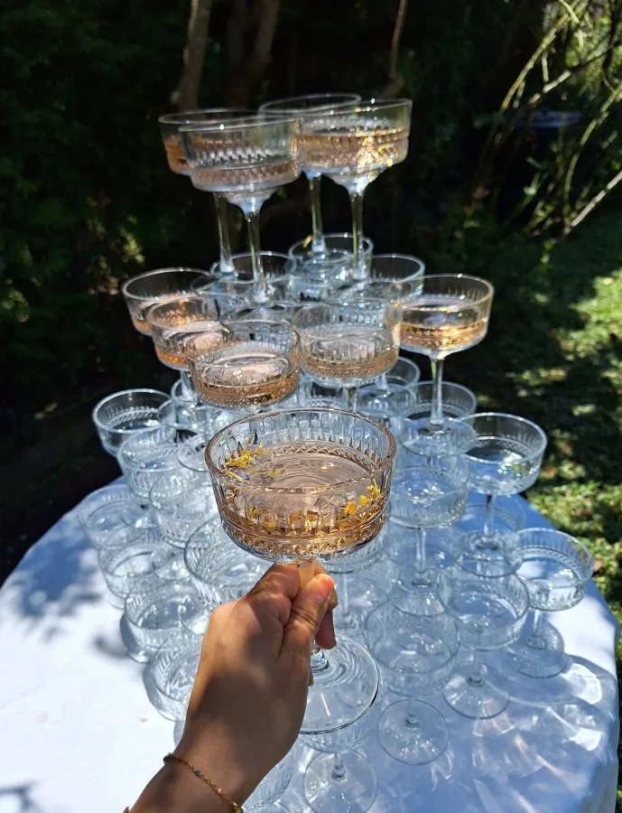 zahvalnice decorea champagne tower zagreb 6